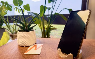 Offre exceptionnelle – BioFibra® BF-LEMD01