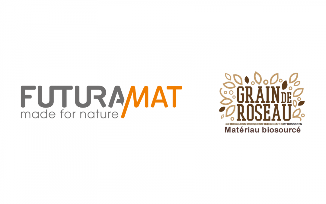 Quand le roseau devient matière : FuturaMat s’engage pour une bioéconomie au service de la biodiversité