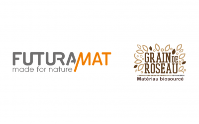 Quand le roseau devient matière : FuturaMat s’engage pour une bioéconomie au service de la biodiversité